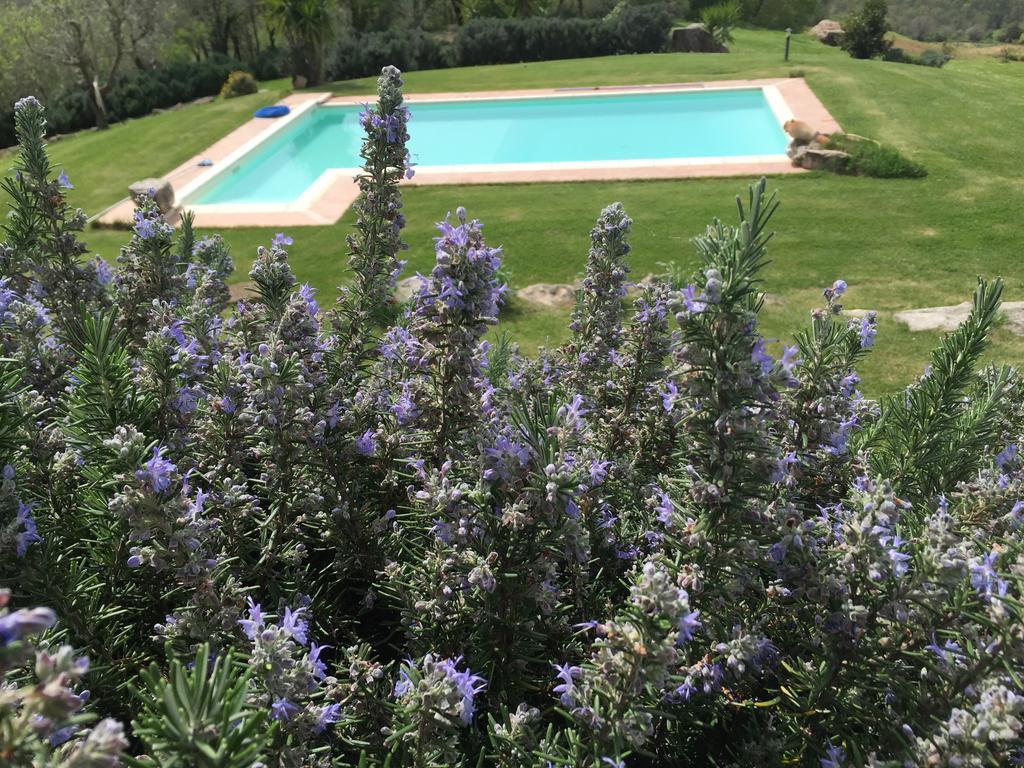 Agriturismo Podere S. Croce Saturnia Exterior photo